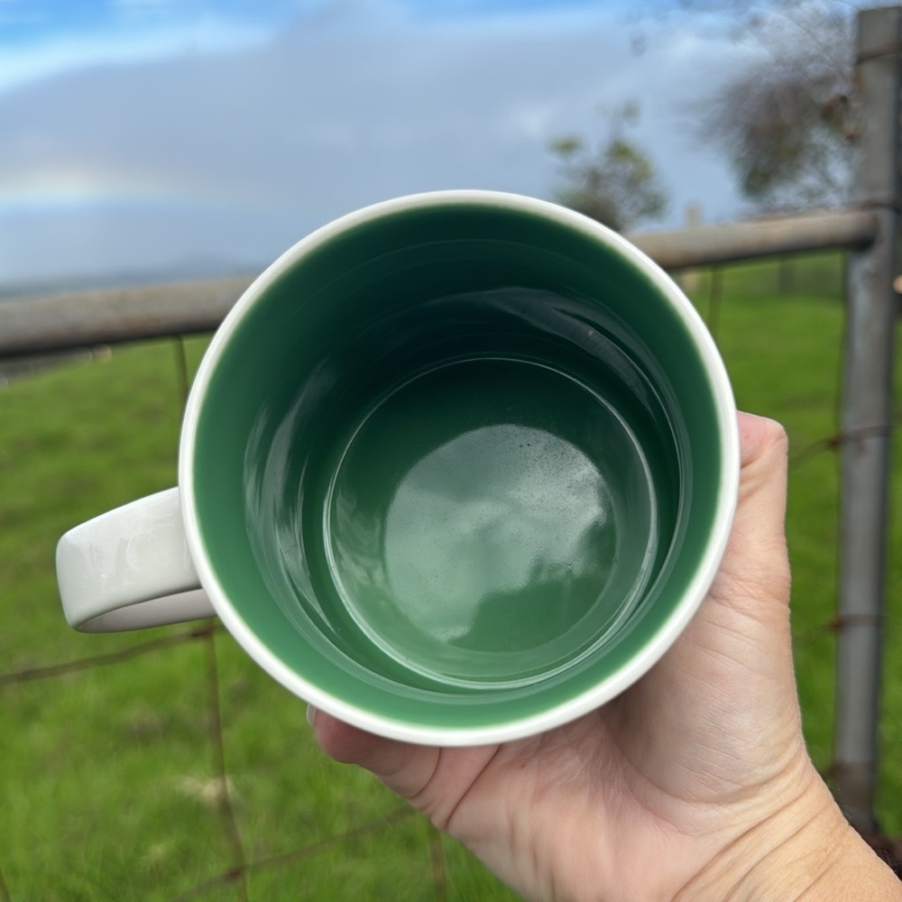 𝅺Starbucks Hawaii Been There Series Mug new in box - Picture 5 of 8